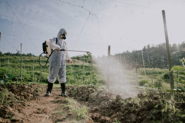 Best Ant Control Services  in Brodheadsville, PA
