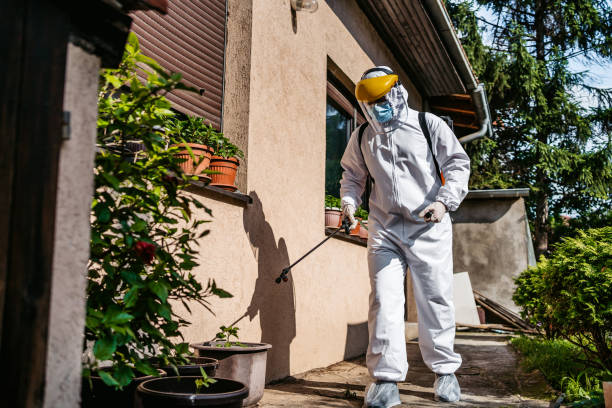 Best Wasp Removal Services  in Brodheadsville, PA