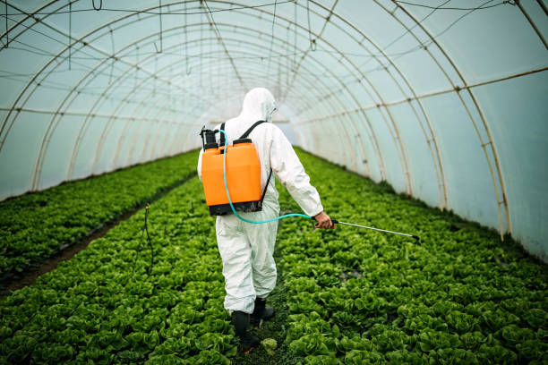 Best Commercial Pest Control Services  in Brodheadsville, PA