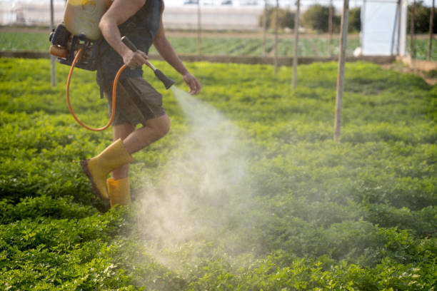 Best Mosquito Control Services  in Brodheadsville, PA