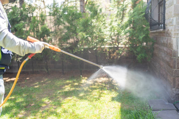 Best Pest Removal Services  in Brodheadsville, PA