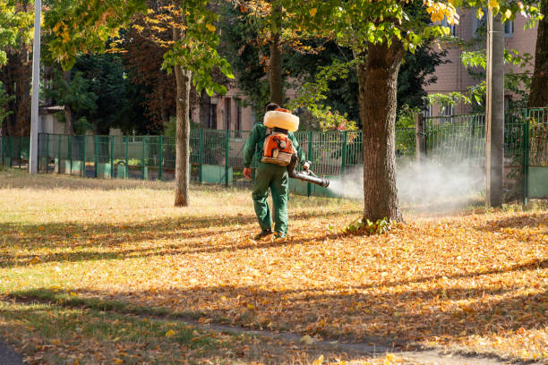 Best Affordable Pest Control Services  in Brodheadsville, PA