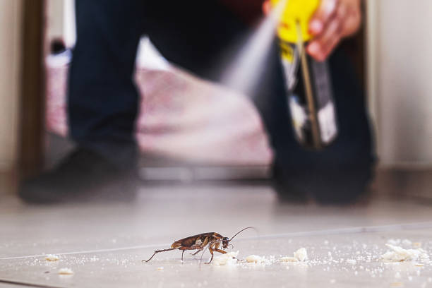 Best Pest Prevention Services  in Brodheadsville, PA